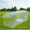 Trova di uccelli vivi - Defenders Bird Cage Trap